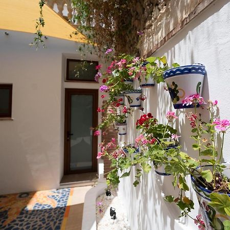 Apartamento Andalucia Компета Экстерьер фото
